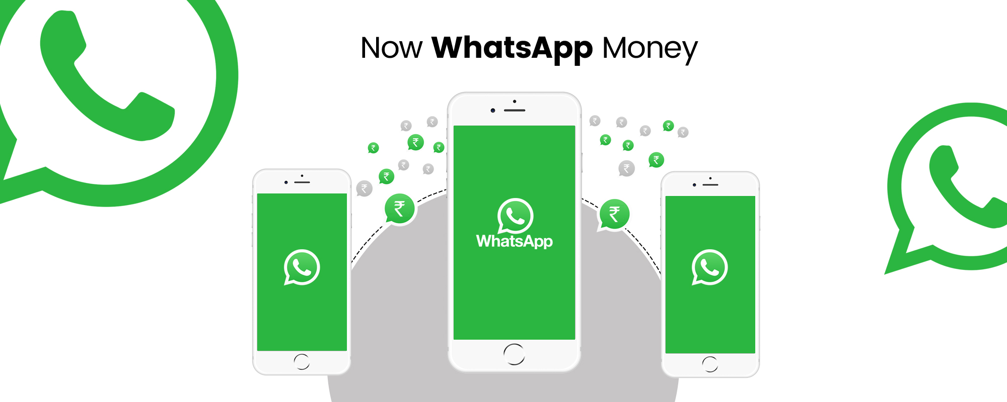 WHATSAPP инфографика