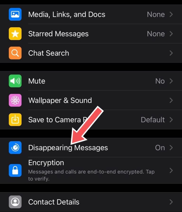 How to Send 'Disappearing Messages' on WhatsApp - Dignited