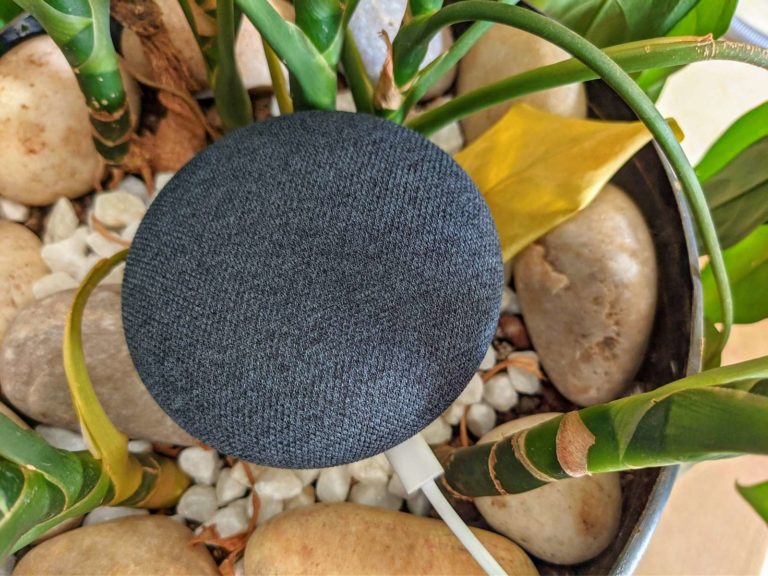 Google Home Mini Review Should You Still Buy It In 2022 Dignited   PXL 20210511 082351147 1 768x576 