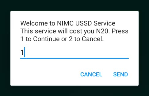 How to Check Your NIN Number on Phone In Nigeria - 59