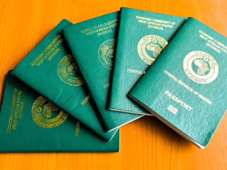 how-to-apply-for-international-passport-online-in-nigeria-dignited