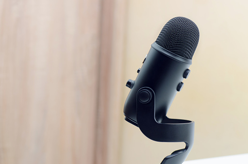 Top Microphones You Should Definitely Have in 2023