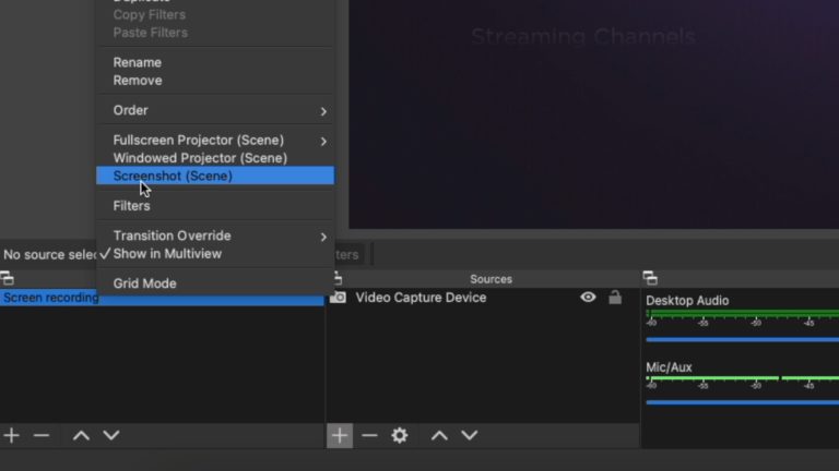 How to take Screenshots and make Screencasts on Roku Streaming Stick ...