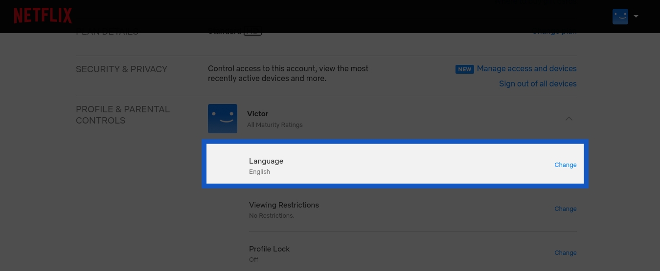 Change Language Settings in Netflix