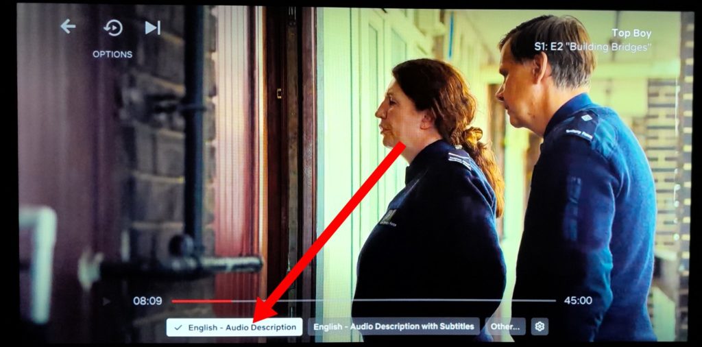 how-to-turn-on-audio-description-on-netflix-on-your-smart-tv-dizablog